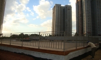 Deck de madeiras Macanhão