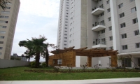 Pergolado em pinus tratado